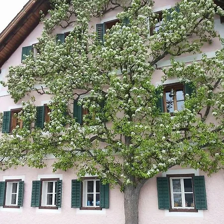 路易丝公寓 * 哈尔施塔特