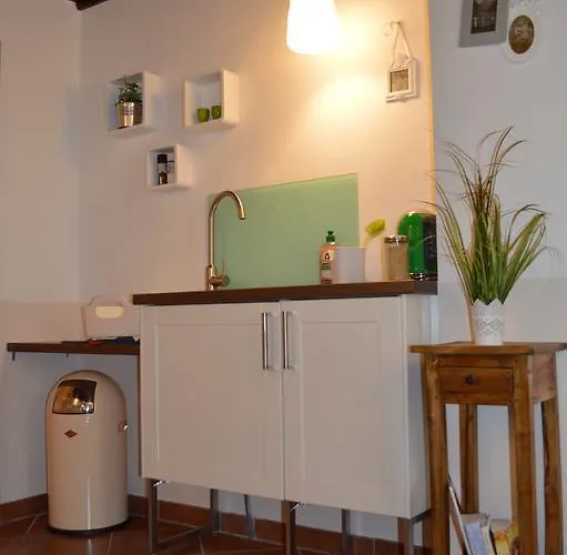 路易丝公寓 * 哈尔施塔特