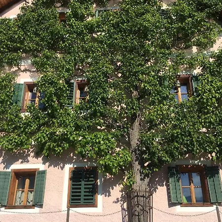 Luise * הלשטאדט